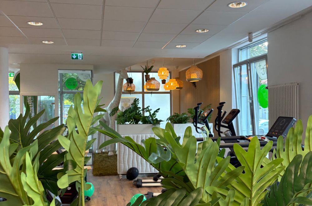 fitplus Seeheim Jugenheim Deko